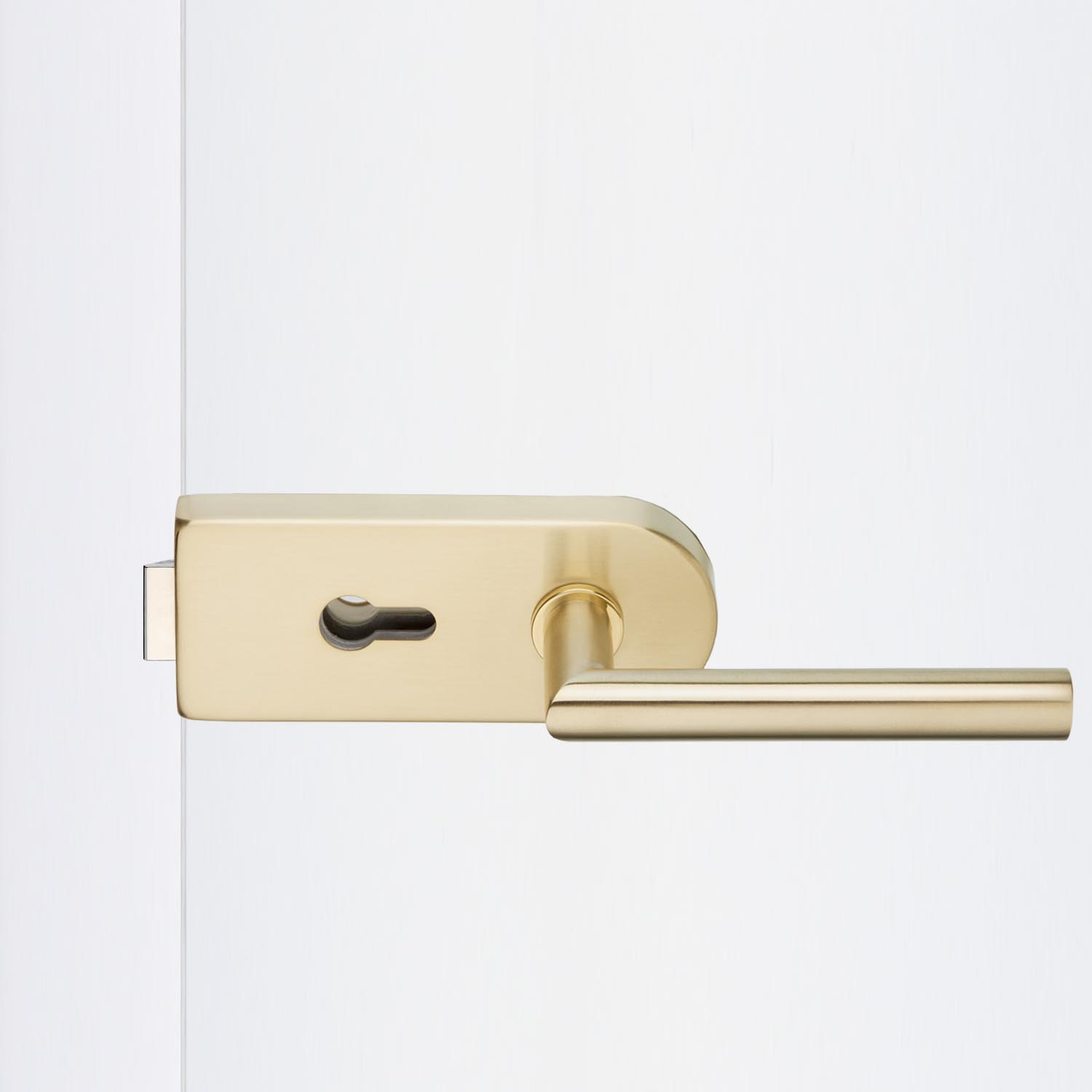 Glastürbeschlag Messing matt "V200.EV3.PZ.LH102"