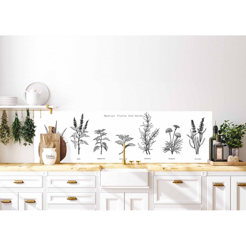Küchenrückwand Heilpflanzen "1176"