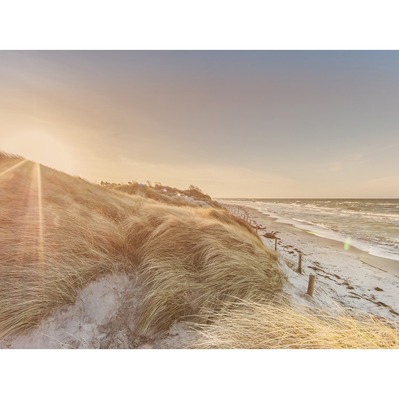 Glasbild Strand "1241"