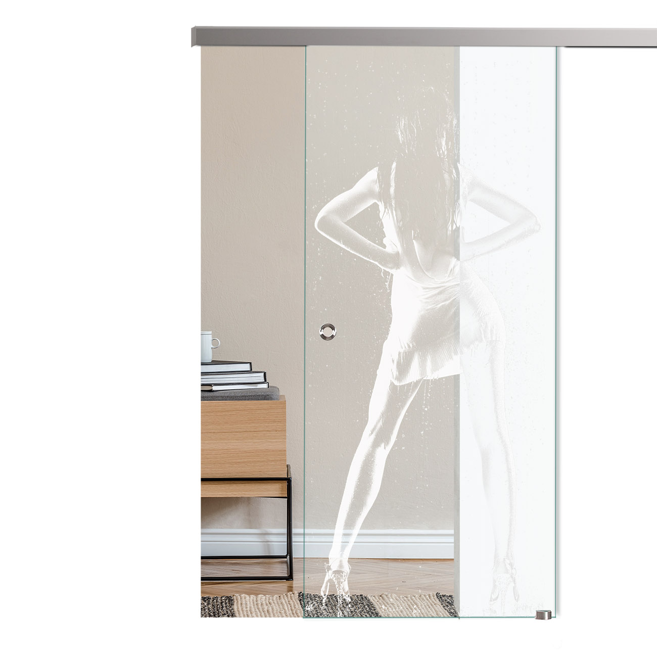 Schiebetür  Regen "6001" mit AG50-Schiebesystem