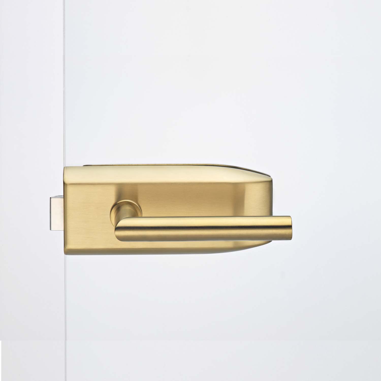 Glastürbeschlag Messing matt "V100.EV3.UV.LH102"