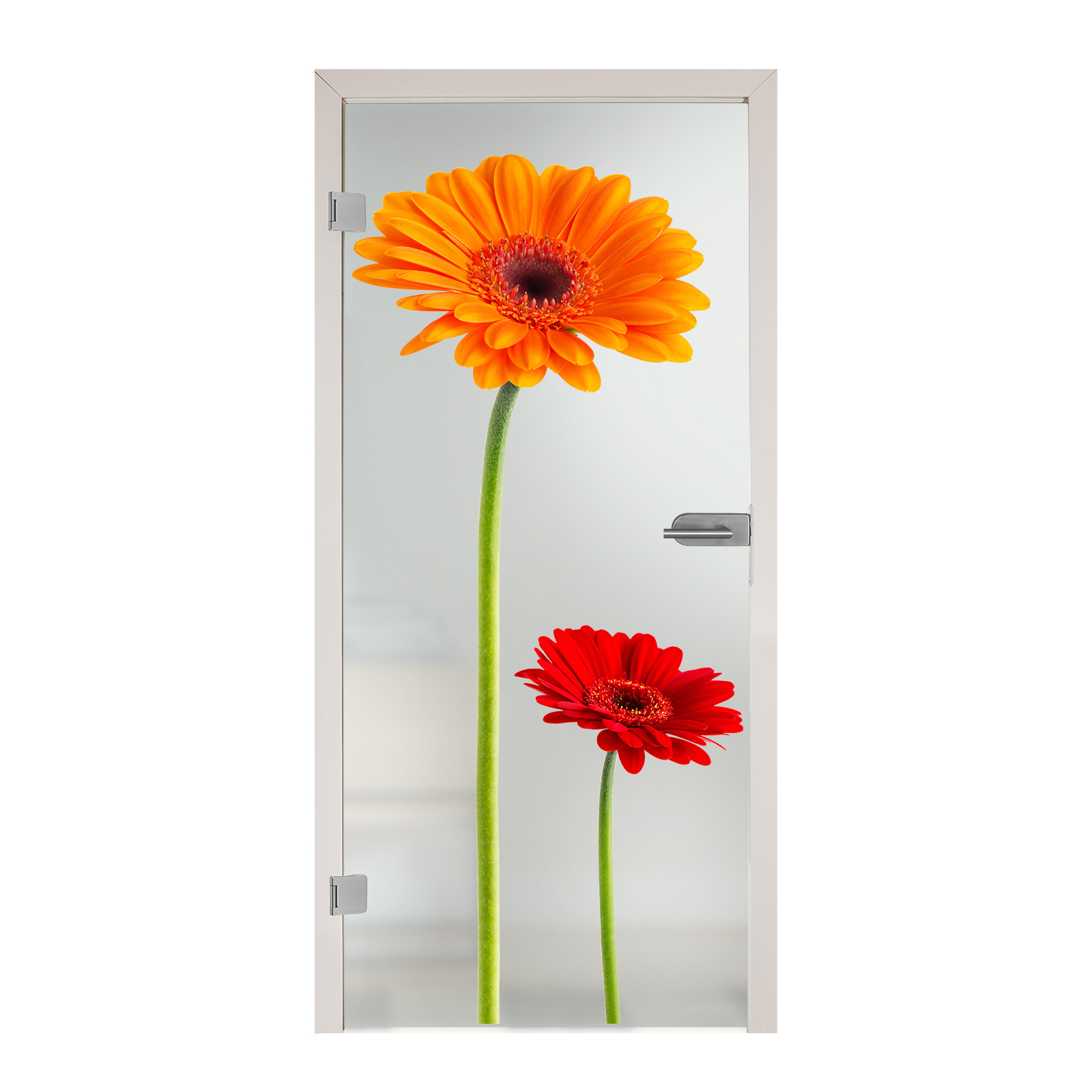Ganzglastür mit Digitaldruck 1009 - "Gerbera" - Satinato