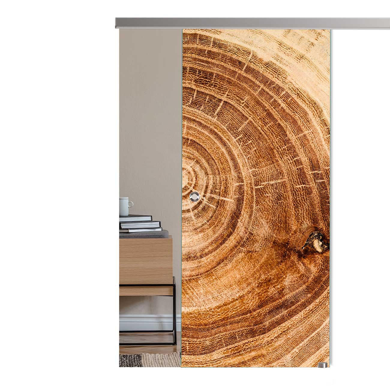 Schiebetür Altersringe "1168 " mit Slimline45-Schiebesystem